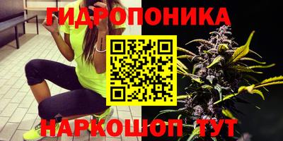 гидропоника Северобайкальск